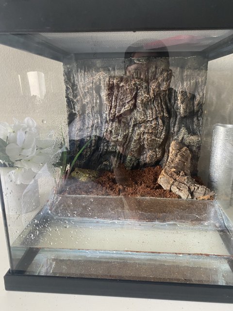 22321F32-E67B-4A84-9098-9948B8322C8E.jpeg 22321F32-E67B-4A84-9098-9948B8322C8E.jpeg