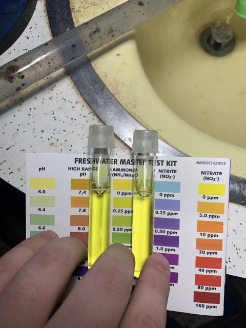 BA29D71C-53A4-466D-9860-B64EE564445D.jpeg BA29D71C-53A4-466D-9860-B64EE564445D.jpeg