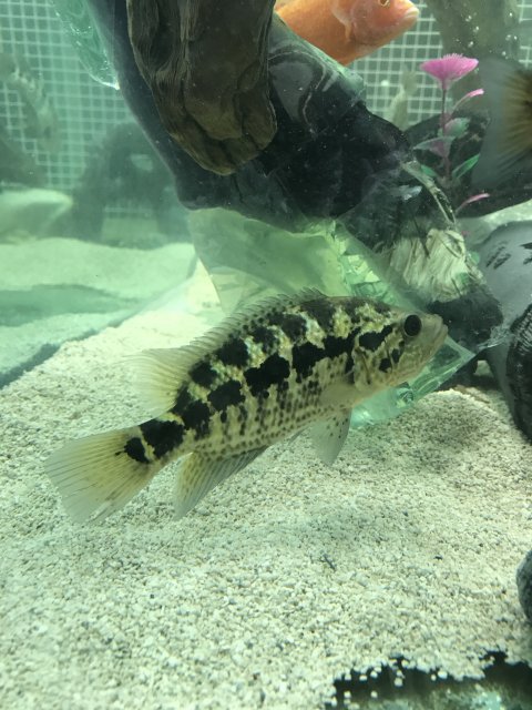 IMG_1404.jpg IMG_1404.jpg