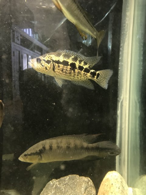 IMG_1406.jpg IMG_1406.jpg