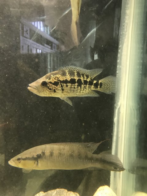 IMG_1407.jpg IMG_1407.jpg