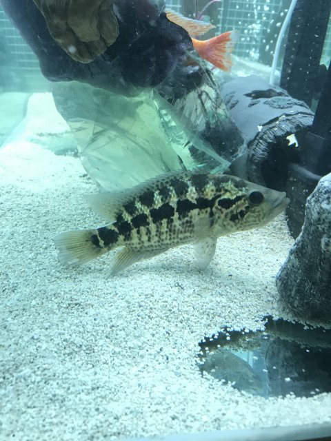 IMG_1409.jpg IMG_1409.jpg