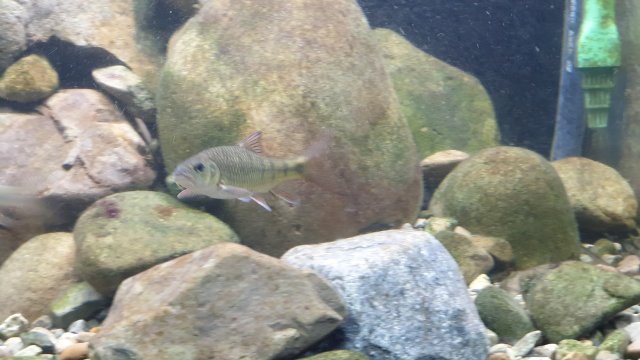 20200609_231202.jpg 20200609_231202.jpg