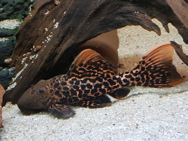 20200809_125159.jpg