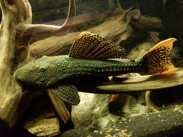 20191110_071837.jpg
