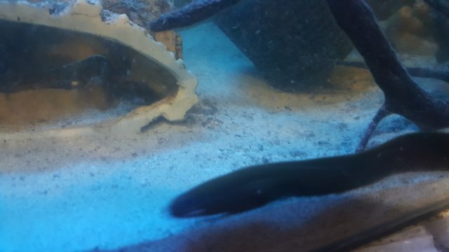 20200807_133935.jpg 20200807_133935.jpg