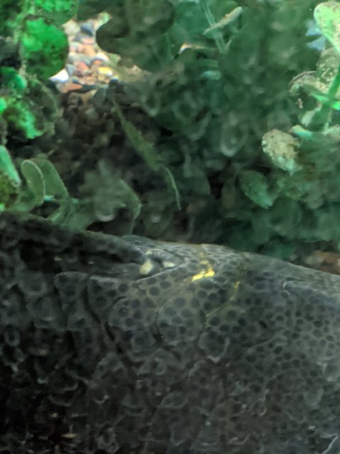 MVIMG_20200810_190748.jpg