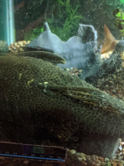 MVIMG_20200810_191228.jpg