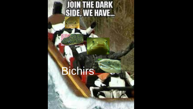 Screenshot 2020-08-11 at 10.11.49 PM.png