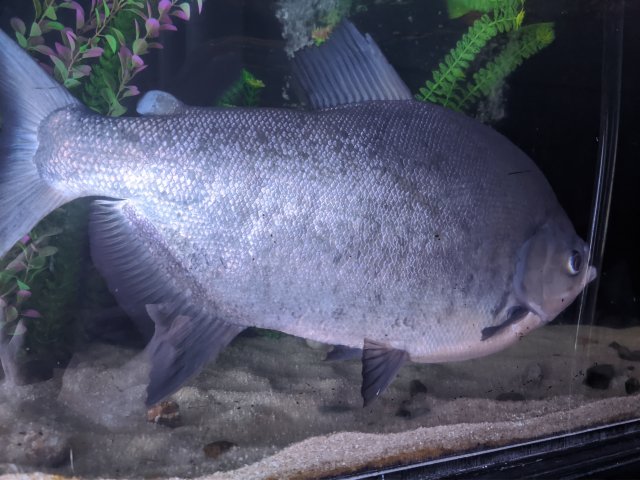 MVIMG_20200811_224234.jpg