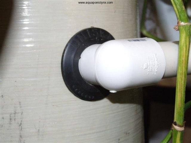 1597294241350.jpeg 1597294241350.jpeg