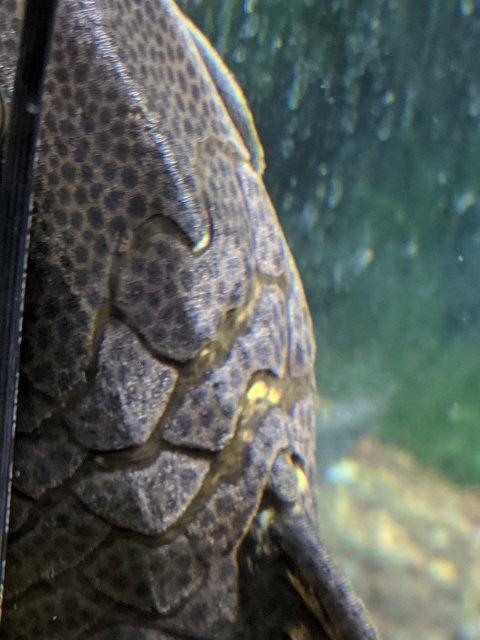 MVIMG_20200813_164546.jpg