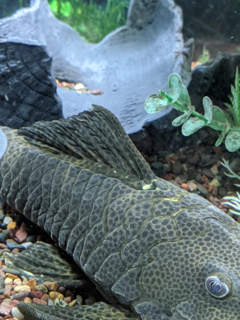 MVIMG_20200813_165244.jpg