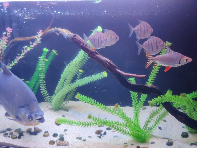 MVIMG_20200813_170446.jpg