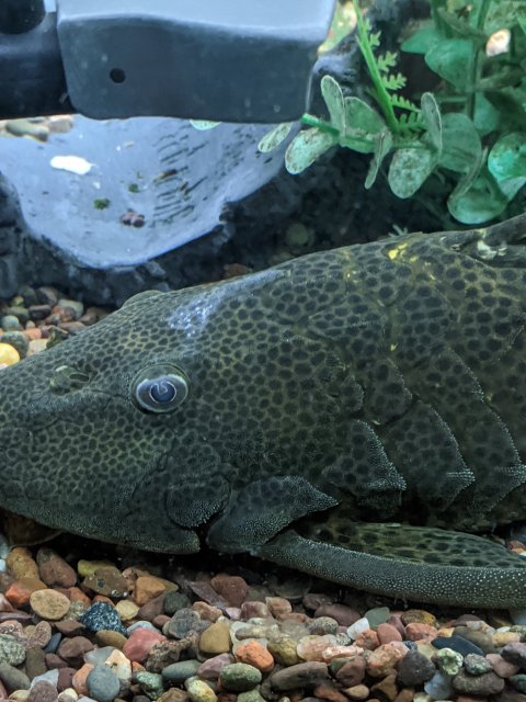 MVIMG_20200814_152347.jpg