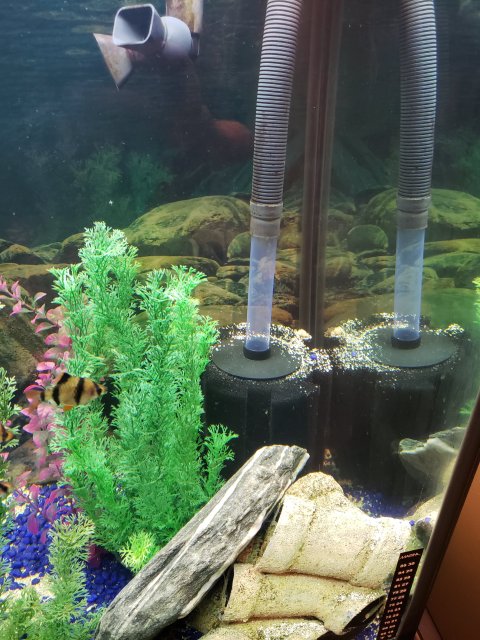 20200815_145538.jpg 20200815_145538.jpg