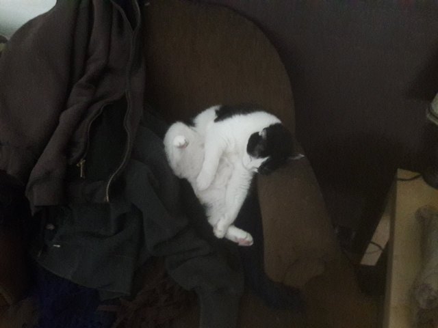 20170902_104920.jpg