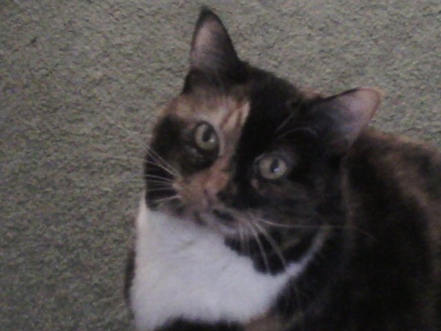 IMG00003.jpg