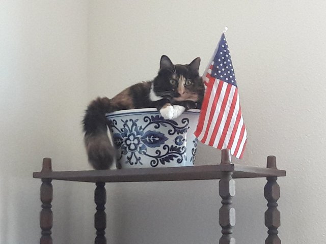 20170716_141941.jpg