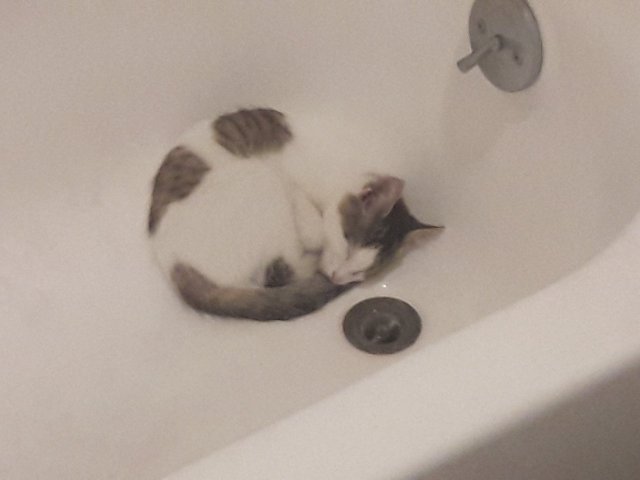 20170812_095845.jpg