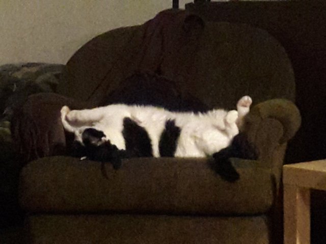 20170823_214021.jpg