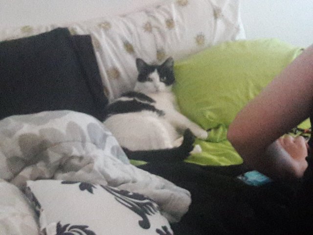 20170527_132134.jpg
