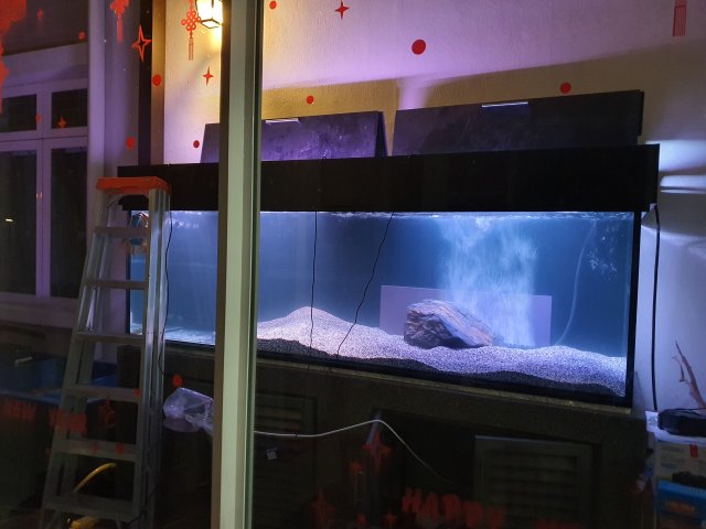 20200703_011233.jpg