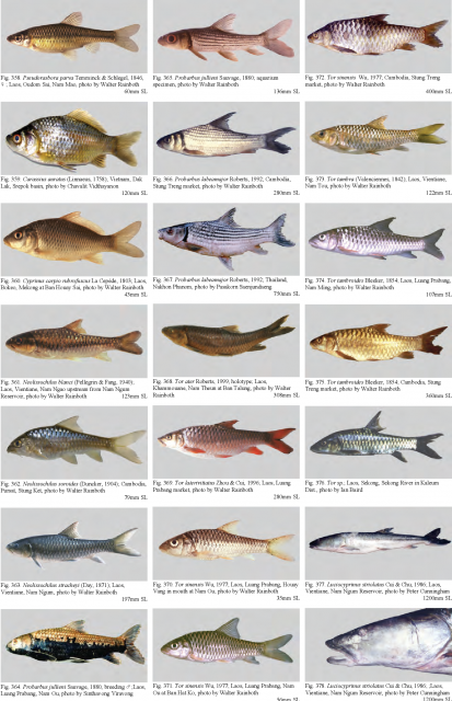 211-Figure367-1.png 211-Figure367-1.png