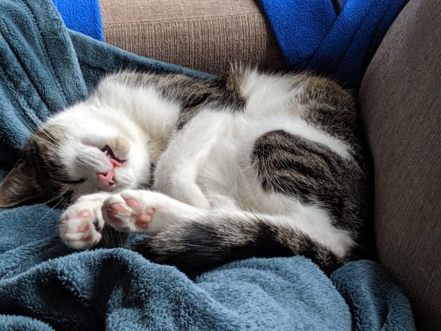 MVIMG_20191017_140521.jpg