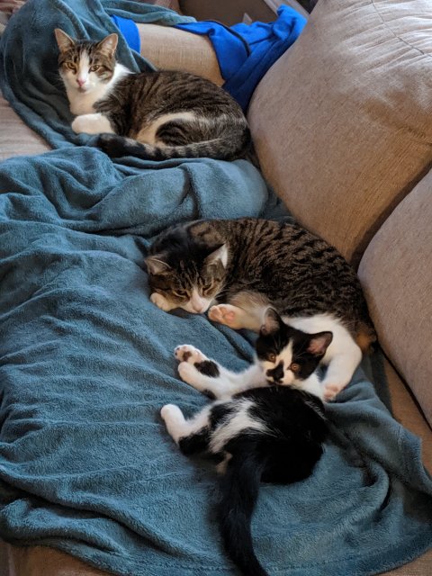 MVIMG_20191017_182451.jpg
