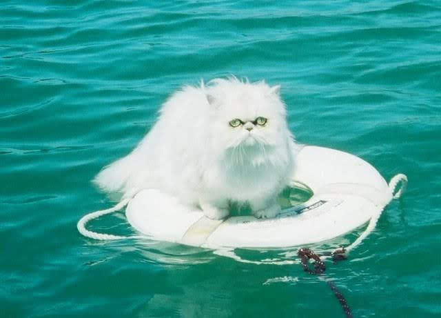 1597845539698.png