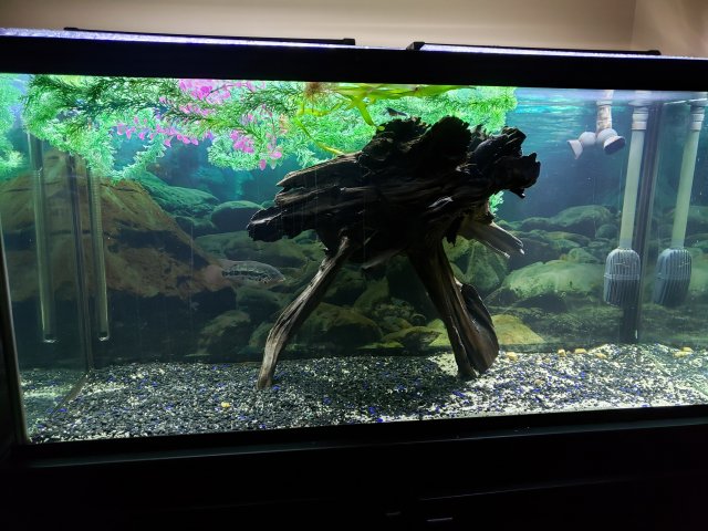 20200818_210110.jpg