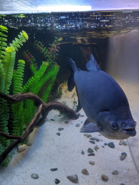 MVIMG_20200819_143455.jpg