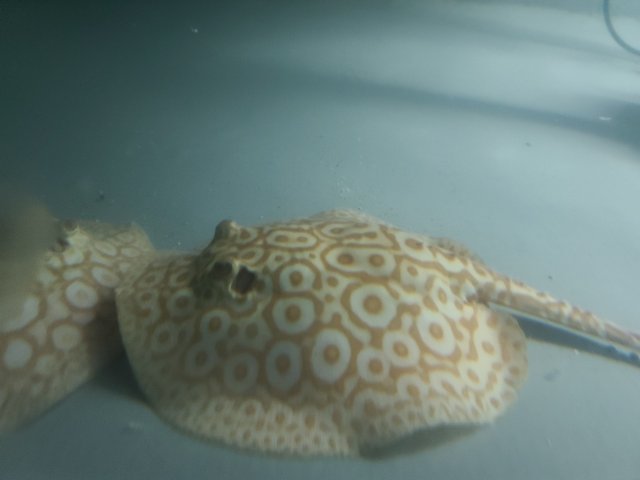20200819_193738.jpg