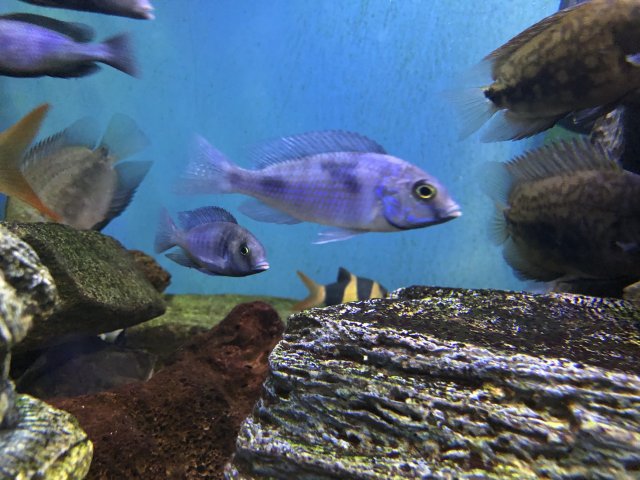 IMG_2300.JPG IMG_2300.JPG