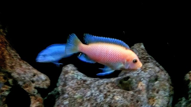 20200723_192240.jpg