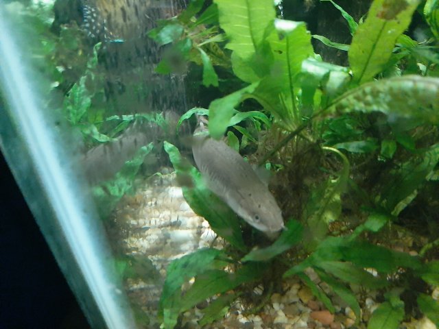 20200823_002937.jpg