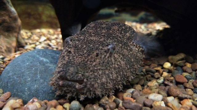 CFEECAE3-017E-4E26-ABA3-B9FB5F807249.png CFEECAE3-017E-4E26-ABA3-B9FB5F807249.png