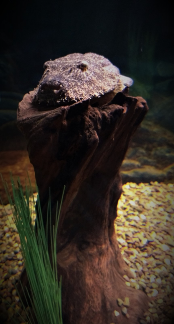 C545939E-0CF4-466A-A9ED-1F0564DCF958.png C545939E-0CF4-466A-A9ED-1F0564DCF958.png