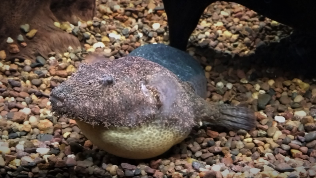 6267CF5F-5A36-42AF-8345-EFD921115843.png 6267CF5F-5A36-42AF-8345-EFD921115843.png