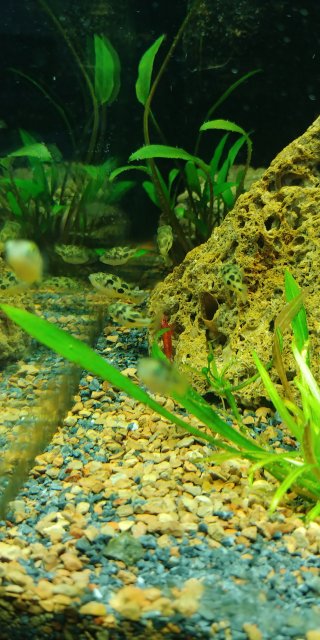 20200329_170022.jpg 20200329_170022.jpg