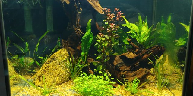 20200322_212156_HDR.jpg 20200322_212156_HDR.jpg