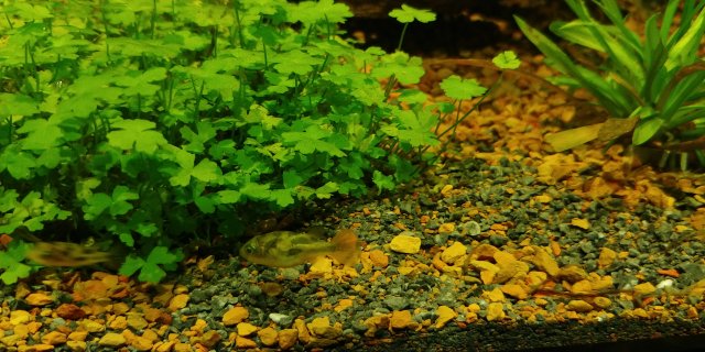 20200308_230724.jpg 20200308_230724.jpg