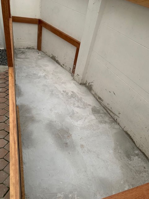 IMG_1948.jpeg IMG_1948.jpeg