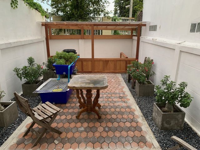 IMG_1950.jpeg IMG_1950.jpeg