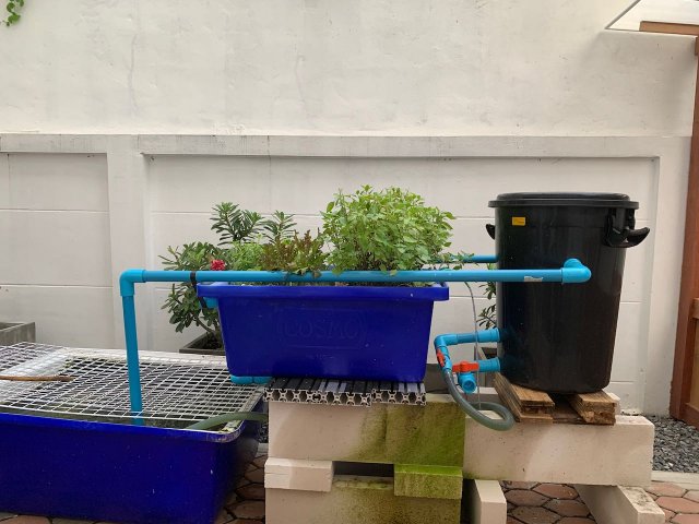 IMG_1945.jpeg IMG_1945.jpeg