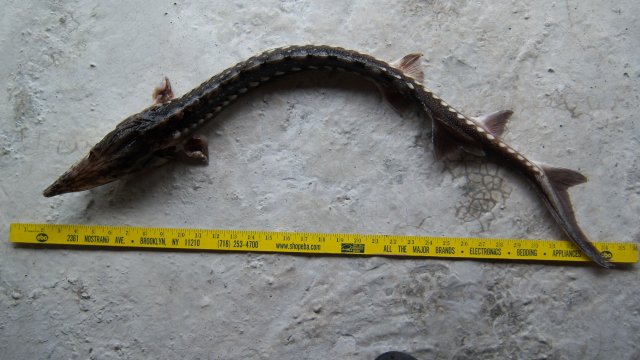 100_9400.JPG