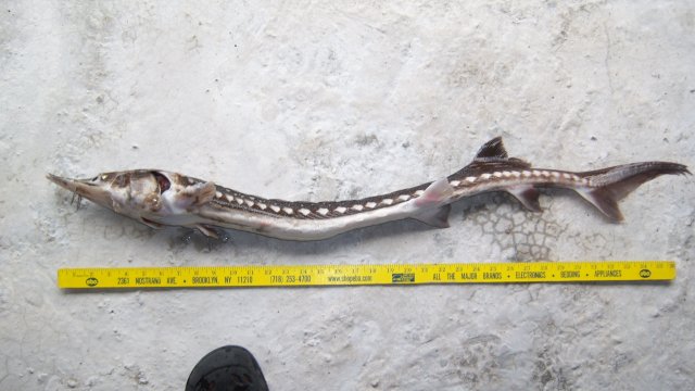 100_9401.JPG