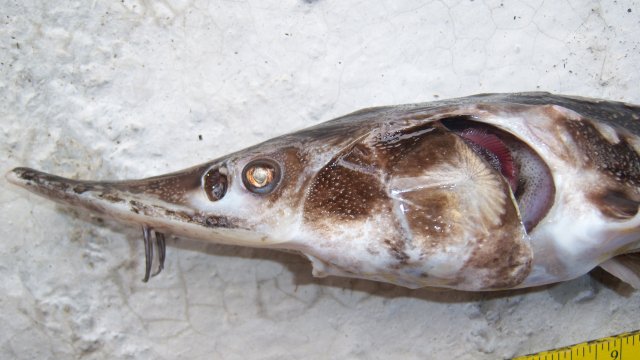 100_9402.JPG