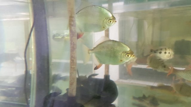 20200826_104341.jpg